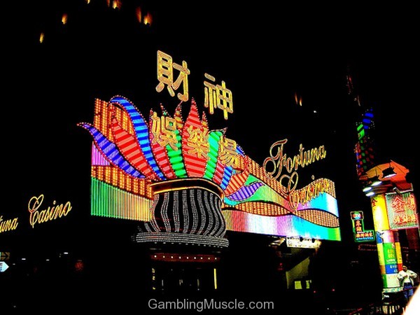 Casino muscle