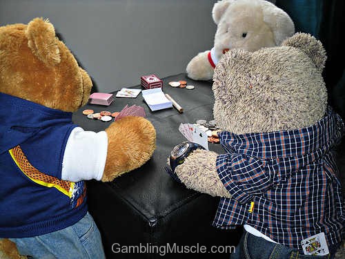 Teddy Poker Teddy Poker